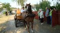 DSC01659