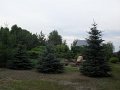 SDC13507