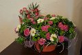 DSC00539